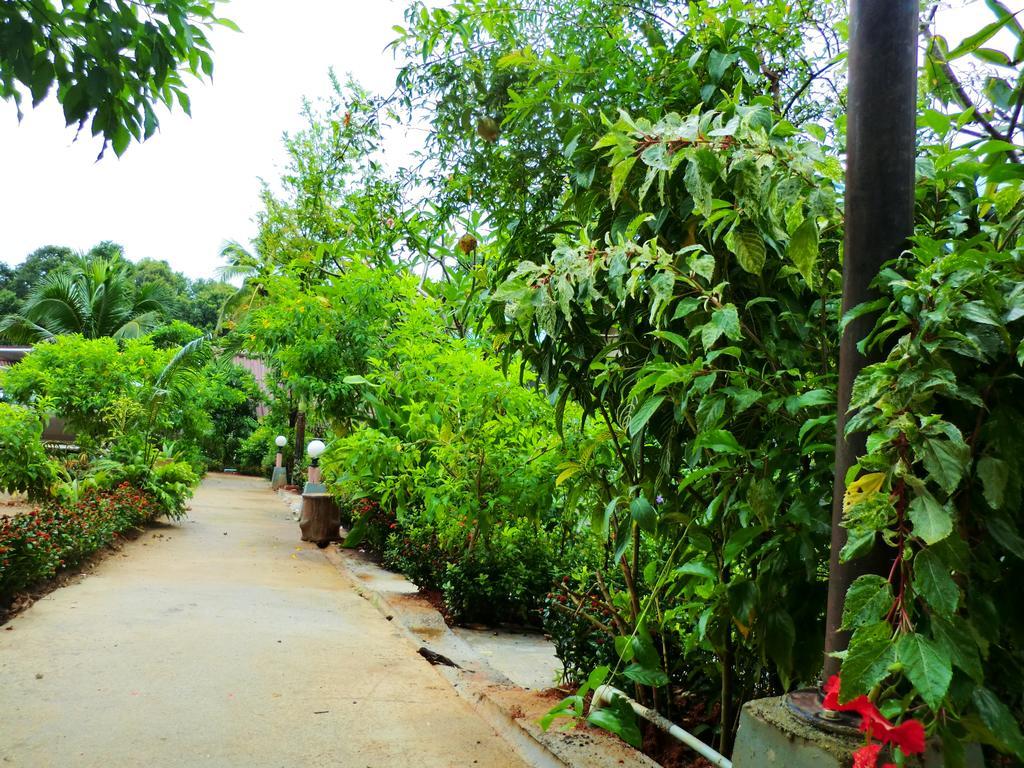 The Krabi Forest Homestay Ao Nang Eksteriør billede